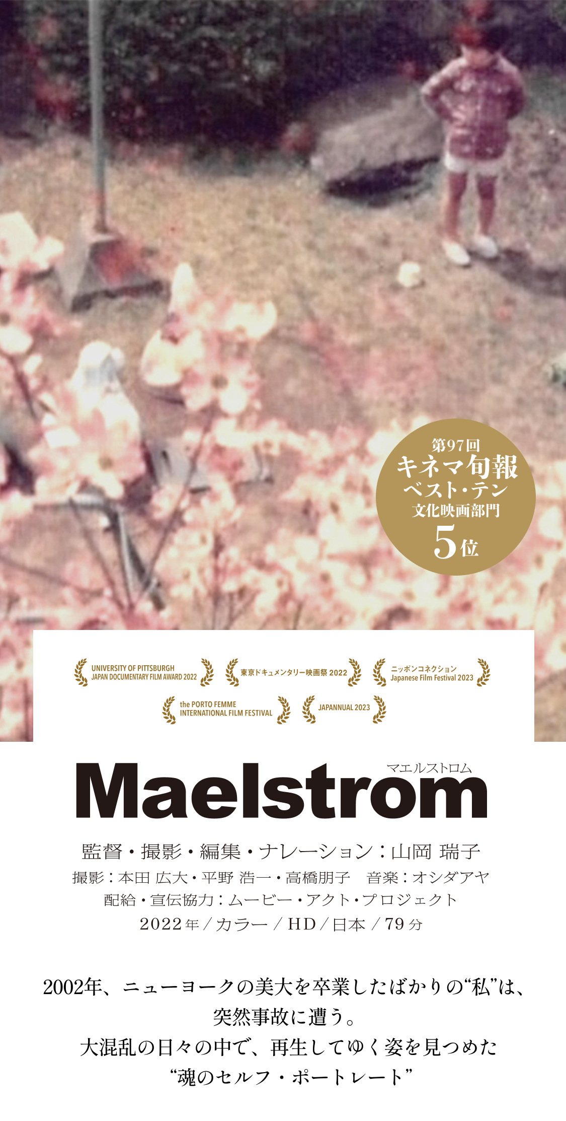 映画『Maelstrom マエルストロム』公式サイト